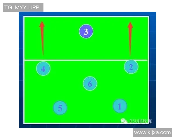 排球巨献：探秘武汉排球队的战术